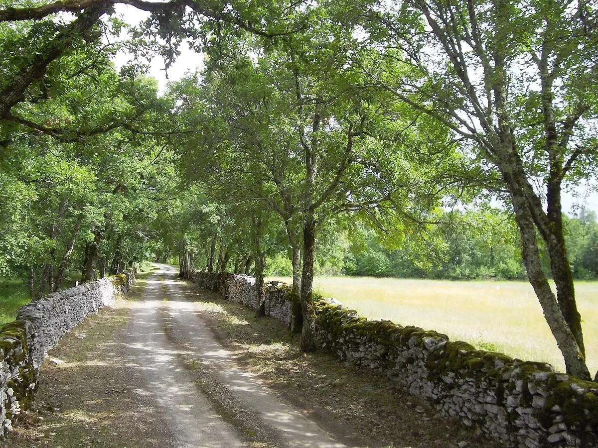 Chateau De Couanac Willa Varaire Dom wakacyjny